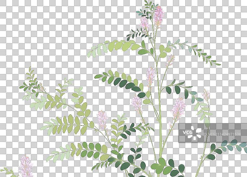 中国风清新手绘中草药植物素材图片素材