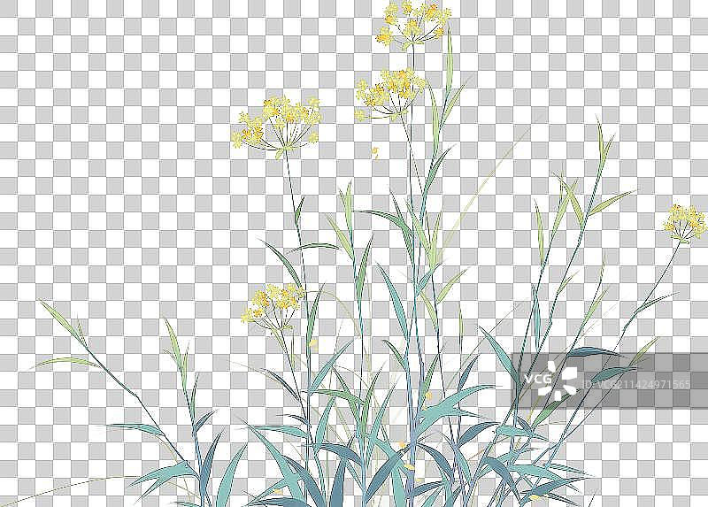 中国风清新手绘中草药植物素材图片素材