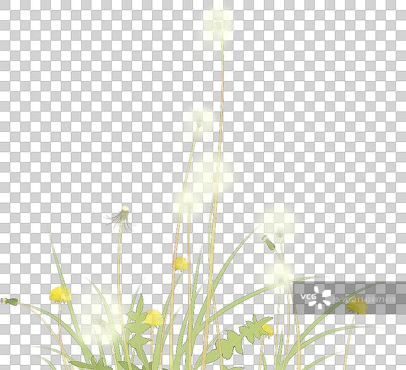 中国风清新手绘中草药植物素材图片素材