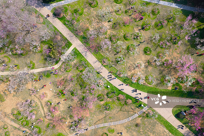 武汉东湖梅园图片素材