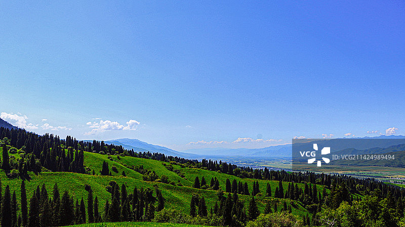 新疆 尼勒克县 百里画廊 草原图片素材