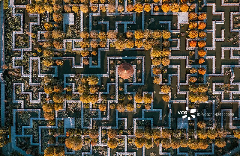 五缘湾落羽杉迷宫图片素材