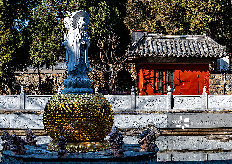 中国山东泰安泰山普照寺前的观音佛像佛塔建筑倒影景观图片素材