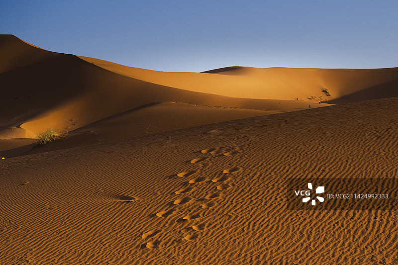 撒哈拉沙漠图片素材