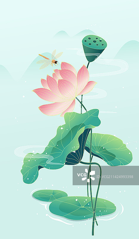 节气立夏荷花荷叶自然景色矢量插画海报图片素材