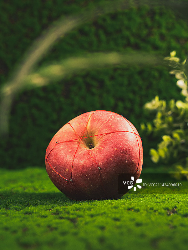 苹果与束缚图片素材