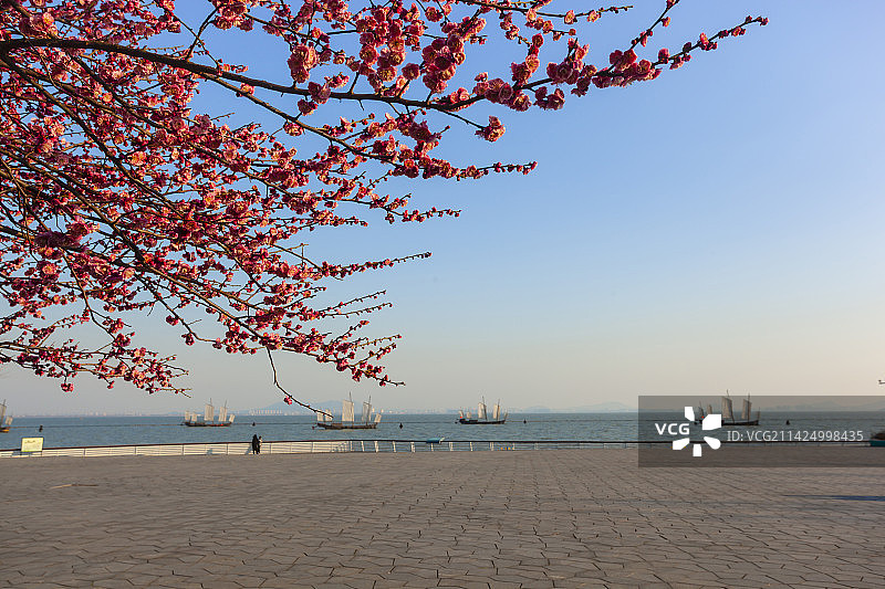 太湖自然风光图片素材