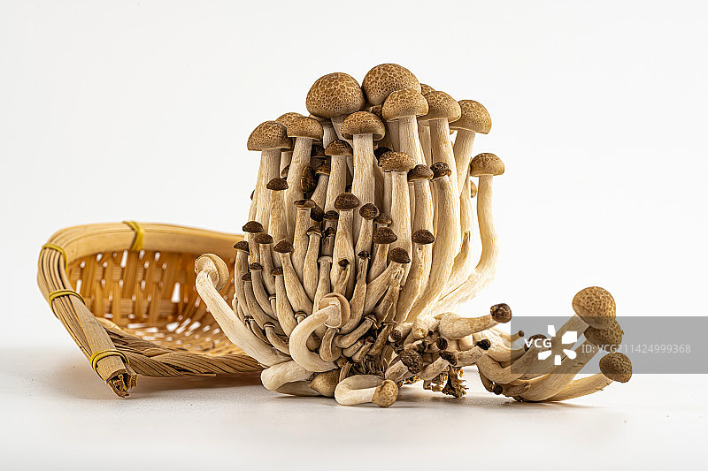 菌类蘑菇蟹味菇图片素材