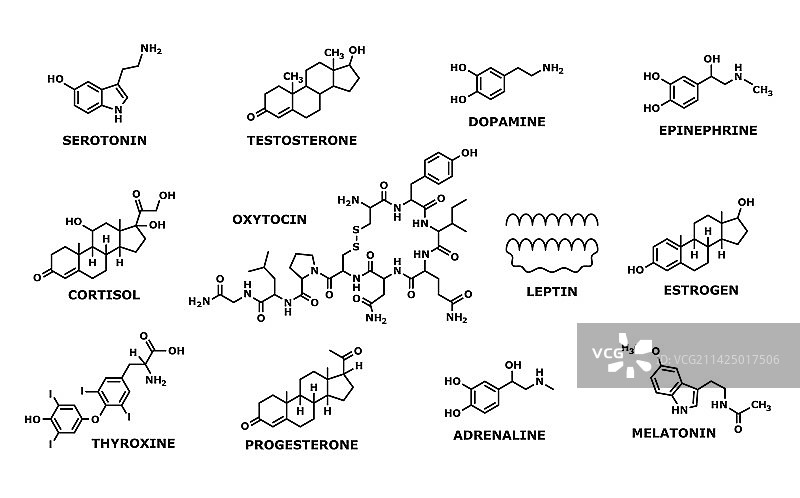 激素分子式结构线条符号图片素材