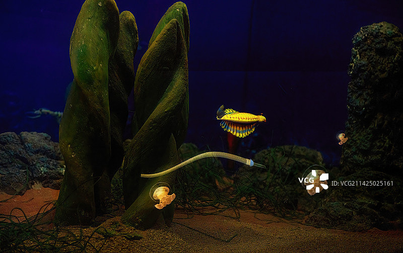海底世界，史前生物生活场景模拟图片素材