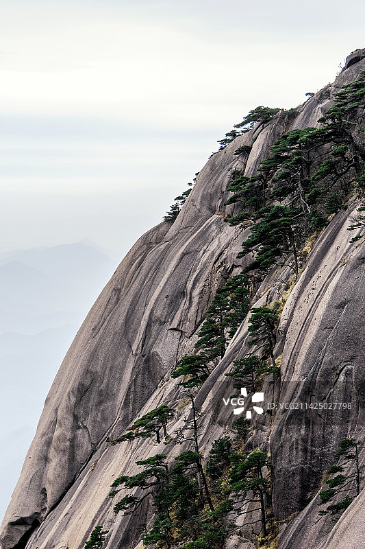 黄山奇松怪石猴子观海妙笔生花飞来石图片素材