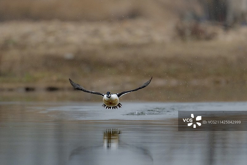 起飞！图片素材