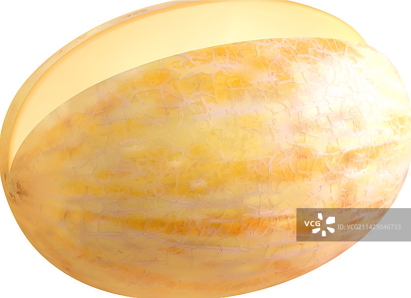 逼真哈密瓜切片组合图片素材