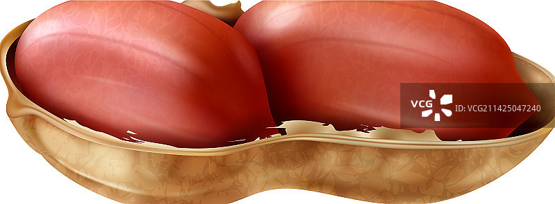 花生开口外壳组合图片素材