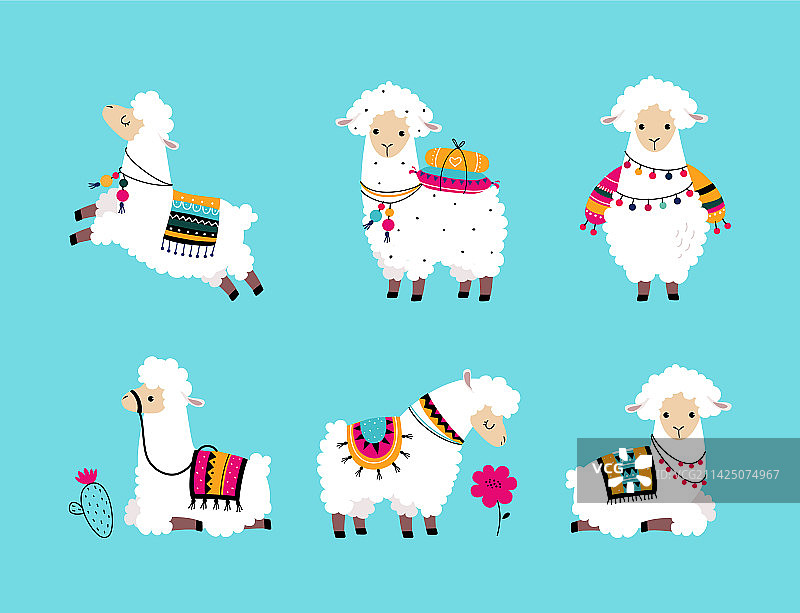 穿着针织衫的可爱羊驼图片素材