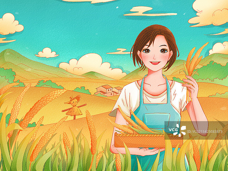 丰收小麦水稻农家姑娘插画图片素材