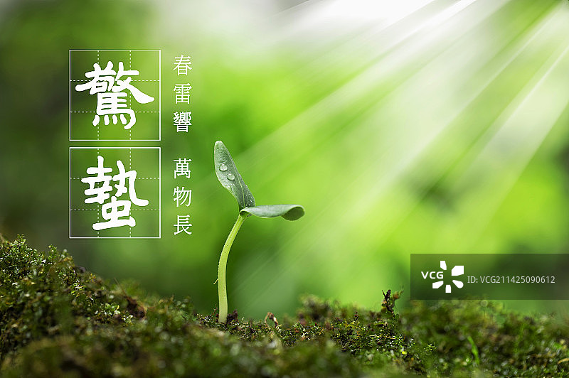 惊蛰,大地春雷,万物萌发,二十四节气图片素材