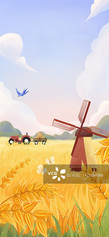 芒种稻田节气插画图片素材