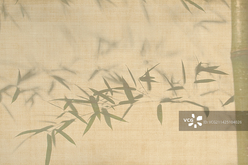 中国风竹子元素背景图片素材