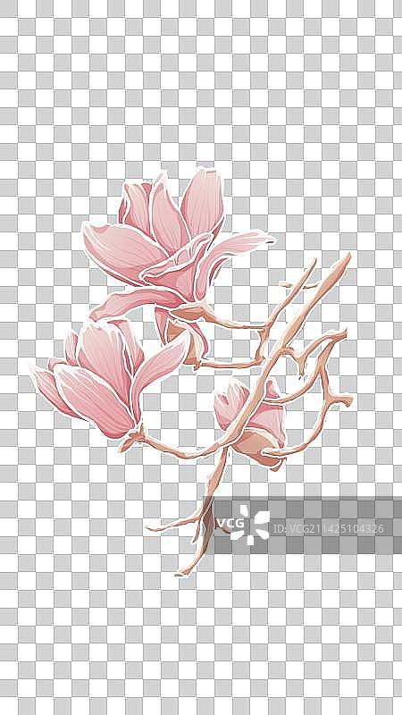 春分玉兰花中国风温馨插画图片素材