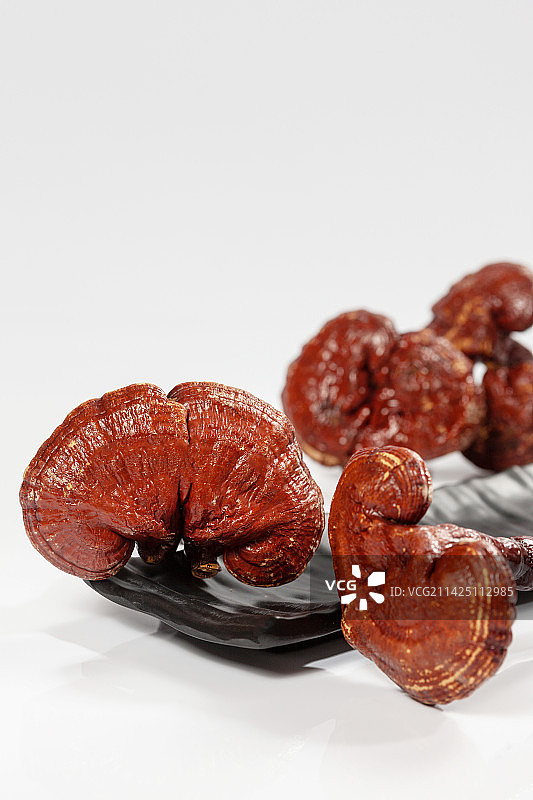 白色背景黑色陶盘里的灵芝图片素材