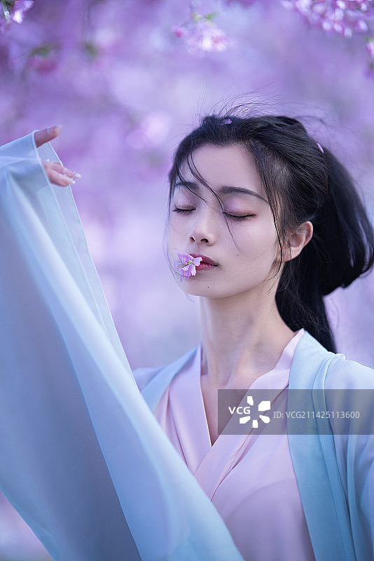 樱花树下14图片素材