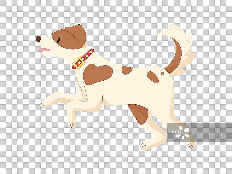 跑动中的狗图片素材