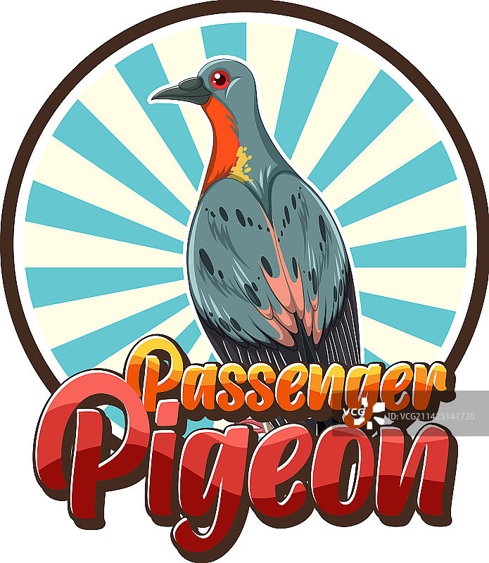 已灭绝的旅鸽鸟类图片素材