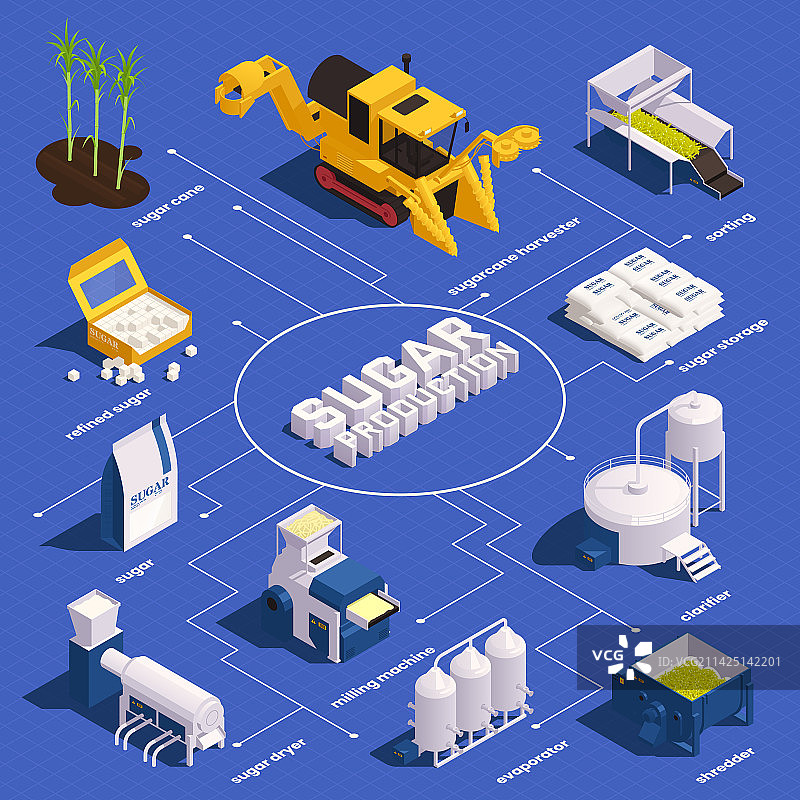 甘蔗生产2.5D信息图图片素材