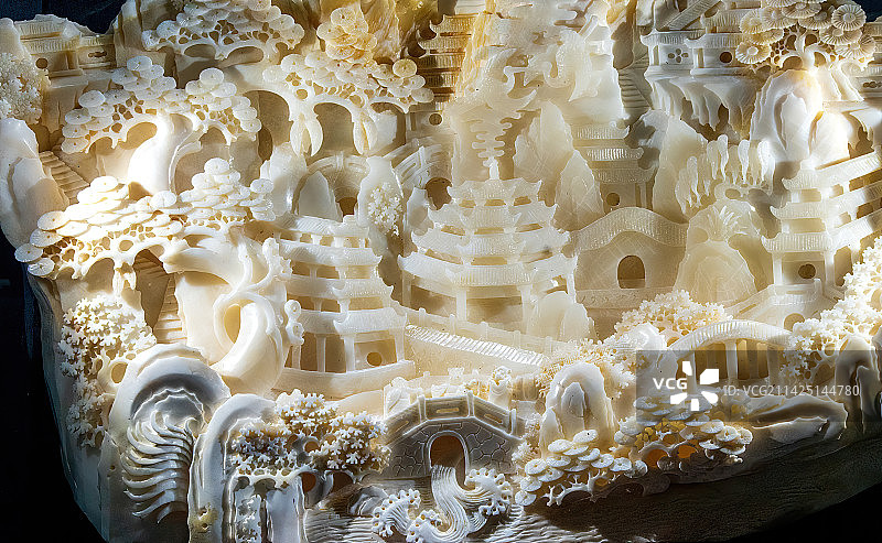 河南自然博物馆，砗磲图片素材