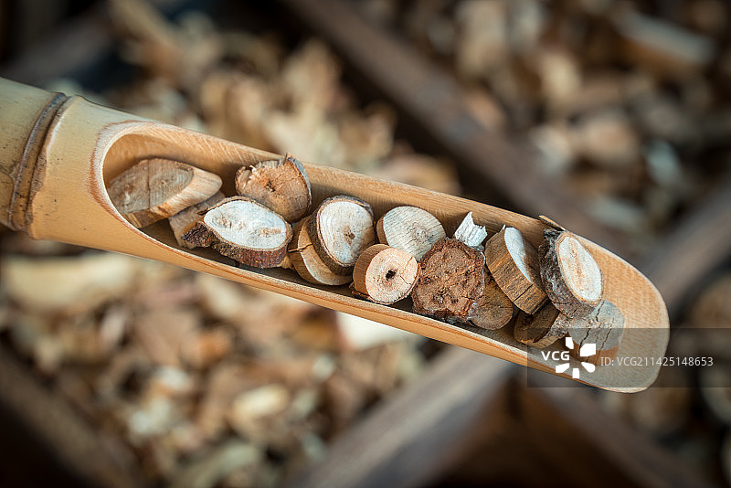 中药桂枝图片素材