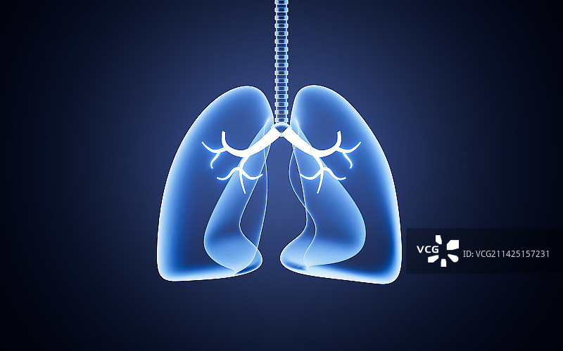 肺部模型与神经系统3D渲染图片素材