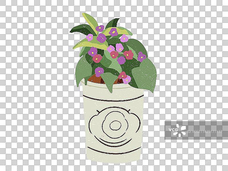 一盆盛开的花盆盆摘装饰品插画元素图片素材