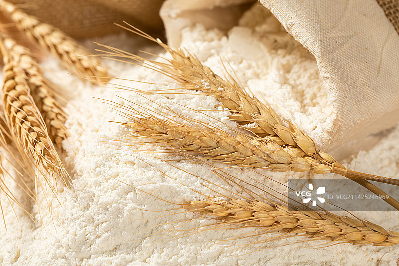 谷物小麦及麦粉图片素材
