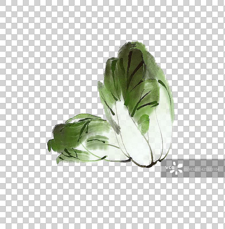 水墨画大白菜图片素材
