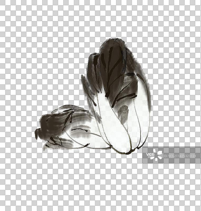 水墨画大白菜图片素材