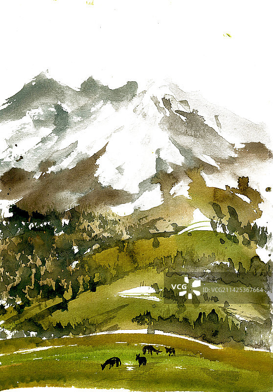 山脚下的草地图片素材