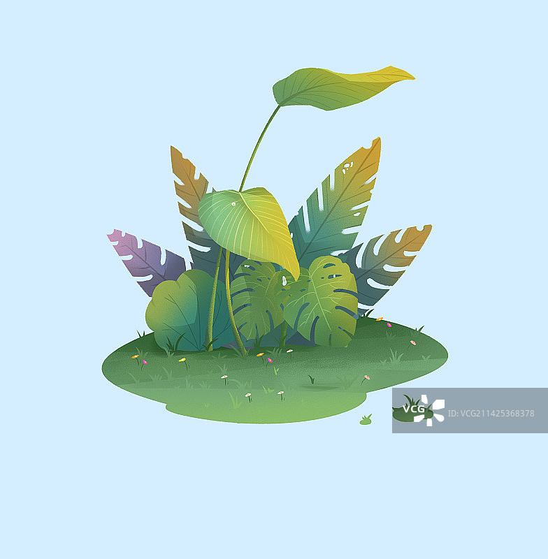 雨林植物图片素材