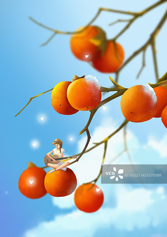 柿子插画图片素材