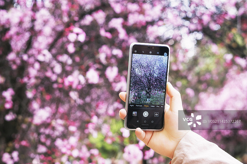 春天的留影图片素材