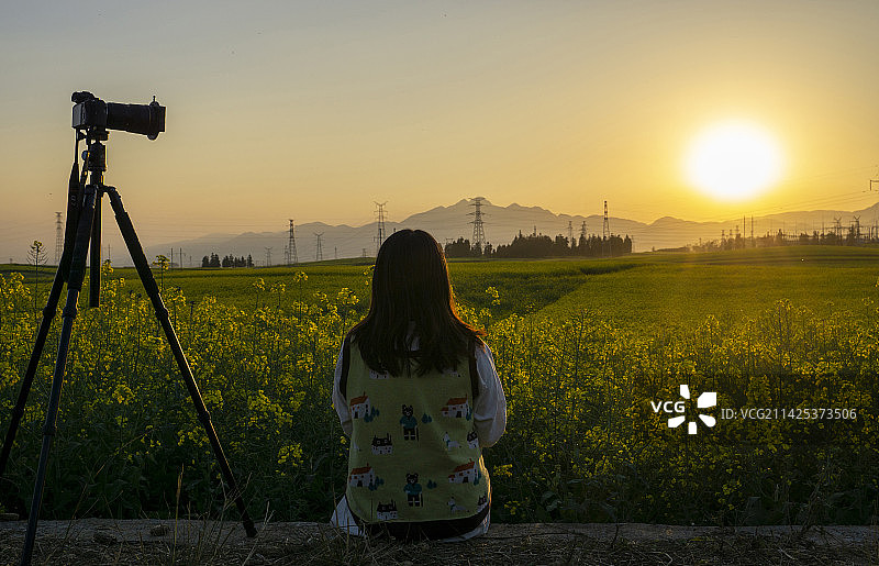 一个女孩和油菜花海上空的落日图片素材