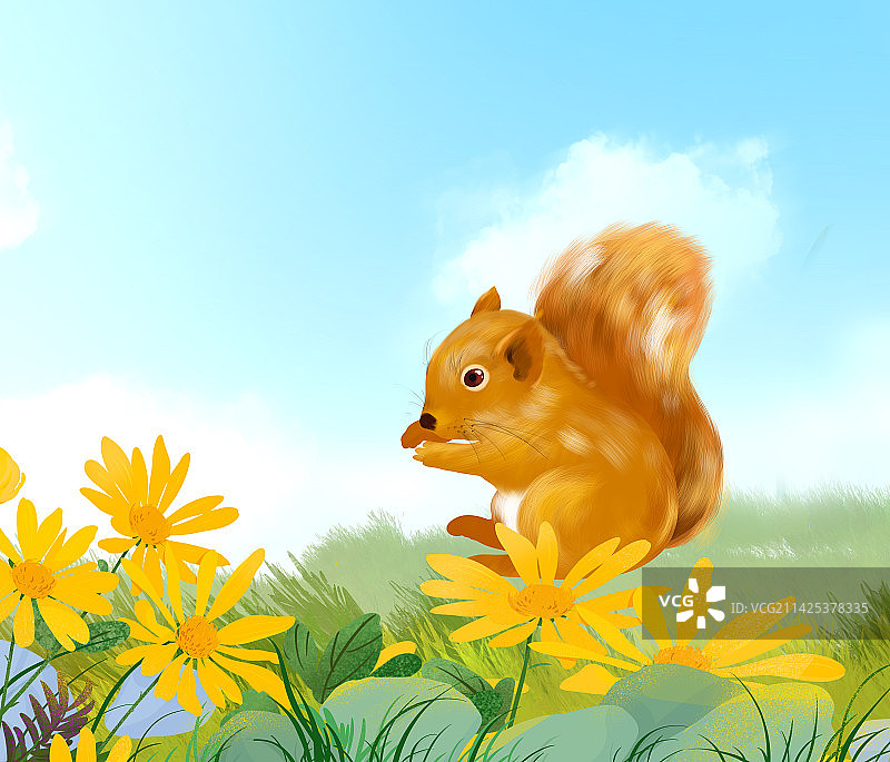 花丛中的松鼠图片素材