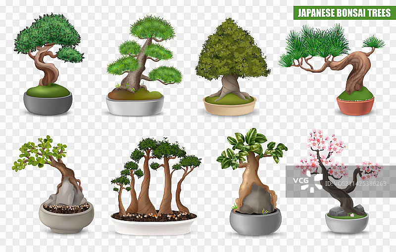 盆景树合集图片素材