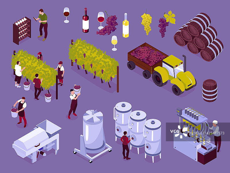 2.5D 葡萄园彩色图标集图片素材