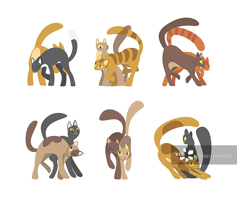 两只可爱的猫咪依偎在一起图片素材