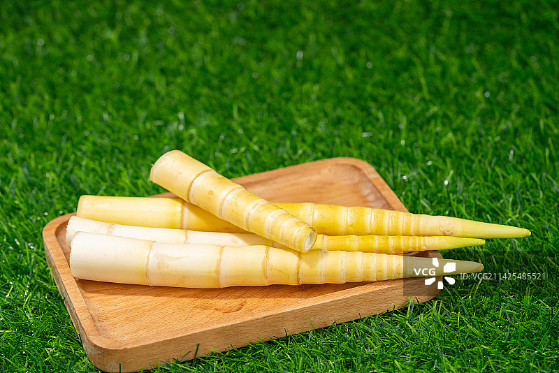 春笋竹笋图片素材