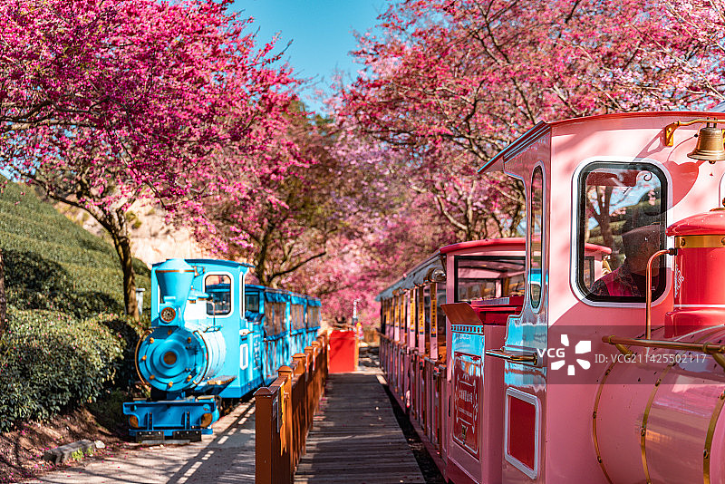 中国福建龙岩永福台品樱花园景区火车图片素材