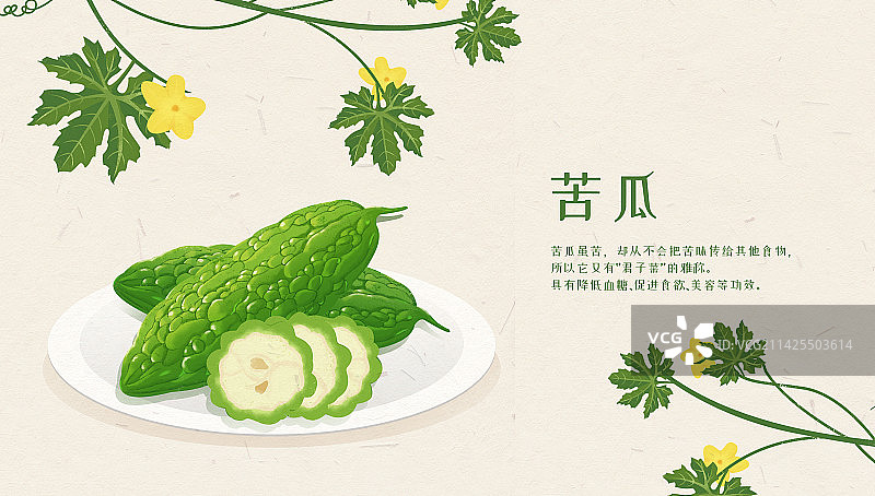 蔬菜苦瓜健康营养食物插画图片素材