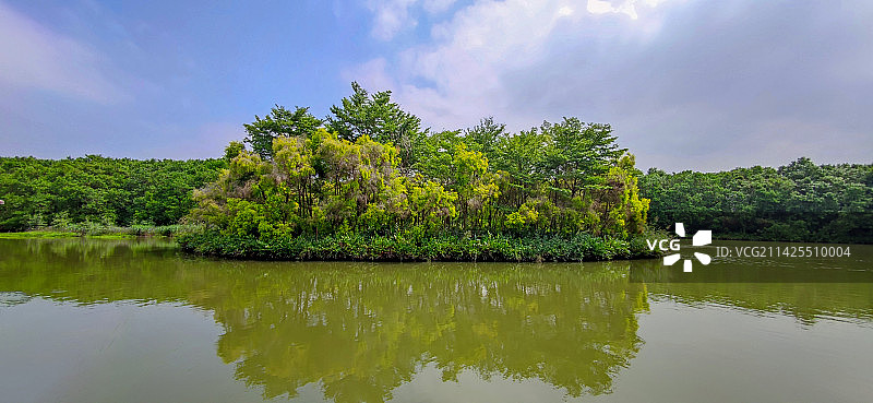 广东广州南沙湿地公园图片素材