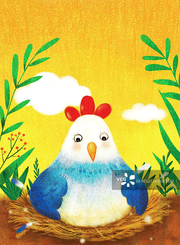 母鸡下蛋图片素材